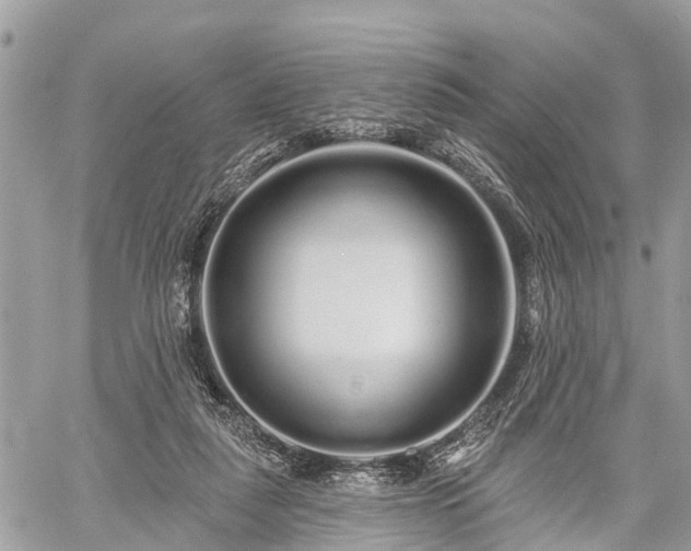 X0000060760259200511141239