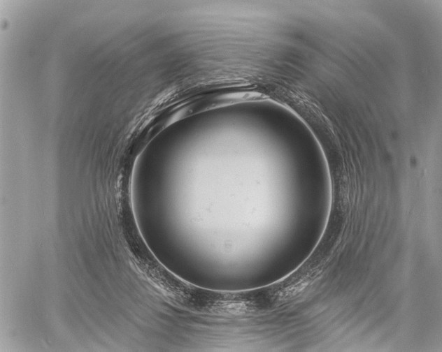 X0000060760260200511141239