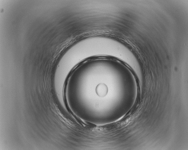 X0000060760261200511141239