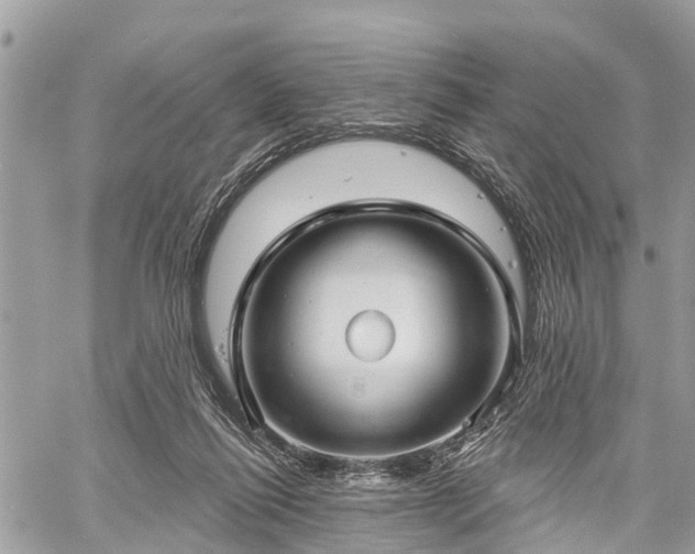 X0000060760262200511141239