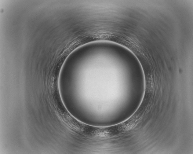 X0000060760263200511141239