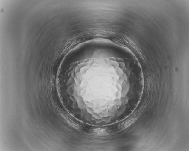 X0000060760265200511141239