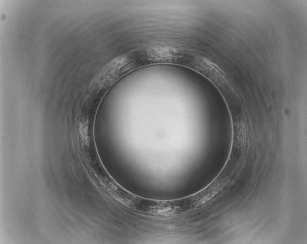 X0000060760267200511141239