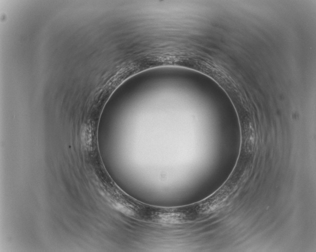 X0000060760268200511141239