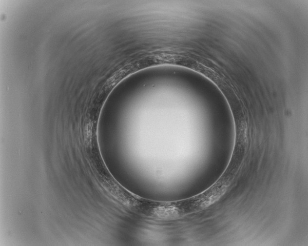 X0000060760271200511141239