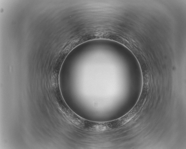 X0000060760272200511141239