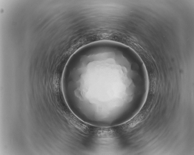 X0000060760274200511141239