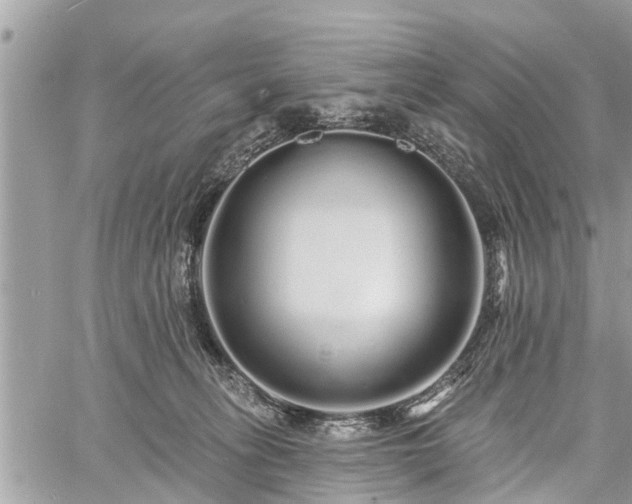 X0000060760275200511141239