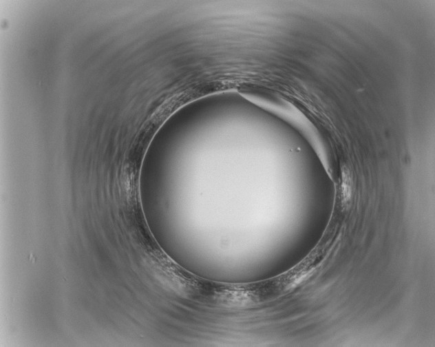 X0000060760276200511141239