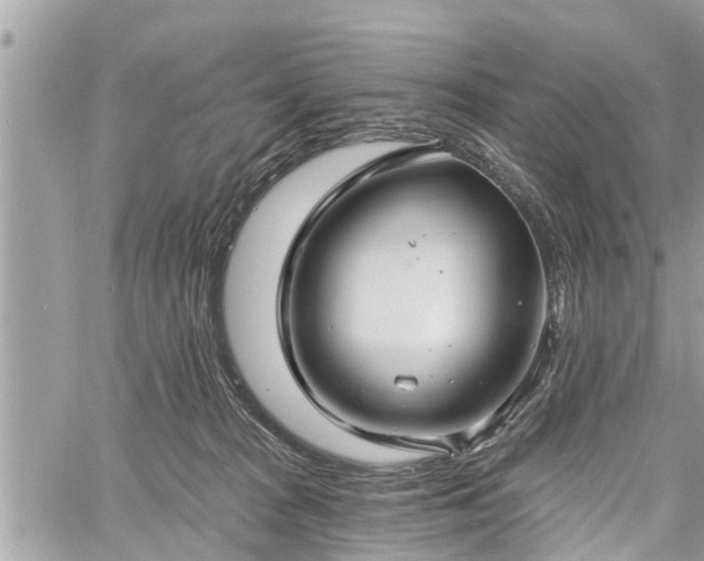 X0000060760277200511141239