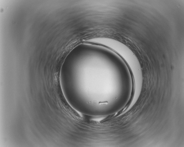 X0000060760278200511141239