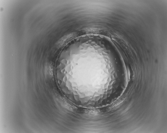 X0000060760282200511141239