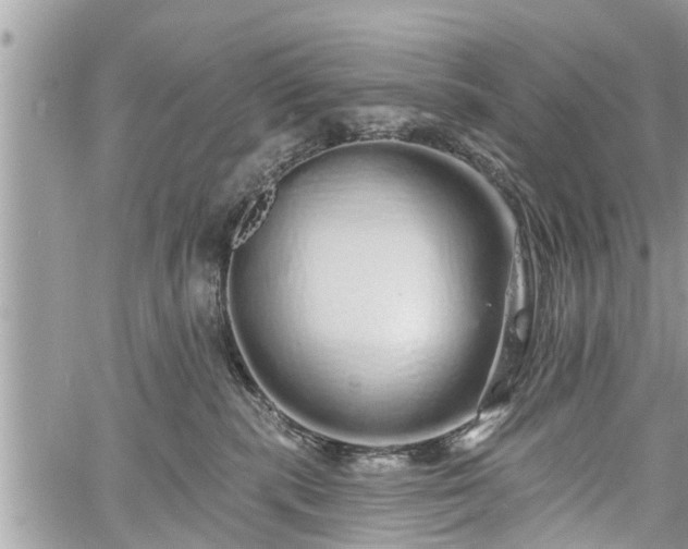 X0000060760283200511141239