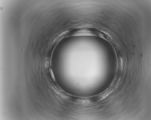 X0000060760284200511141239