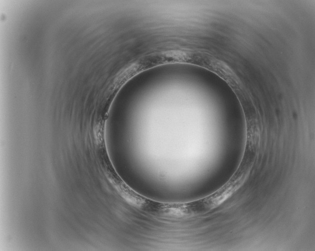 X0000060760285200511141239