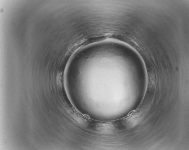 X0000060760286200511141239