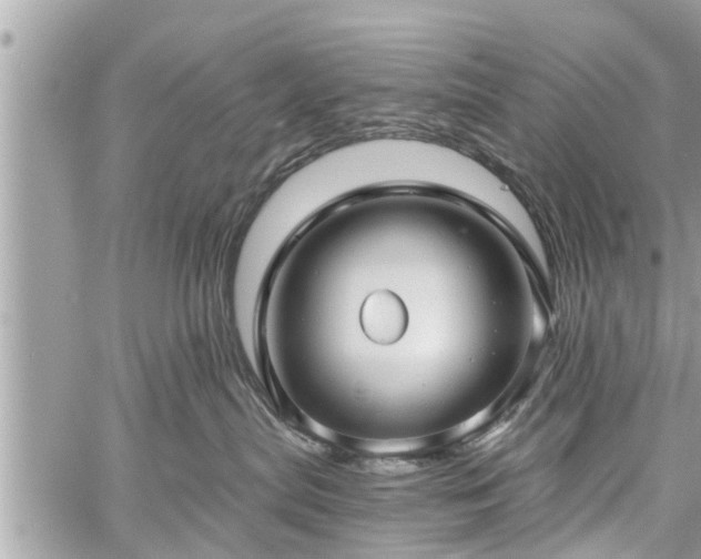 X0000060760287200511141239