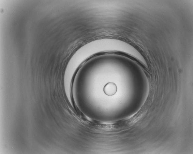 X0000060760288200511141239