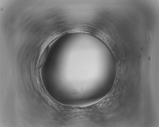 X0000060760289200511141238