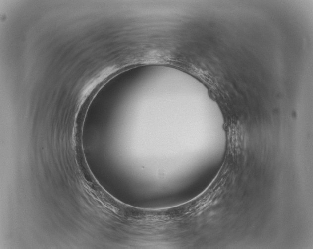 X0000060760292200511141238