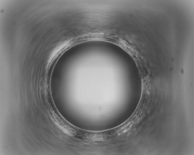 X0000060760293200511141238