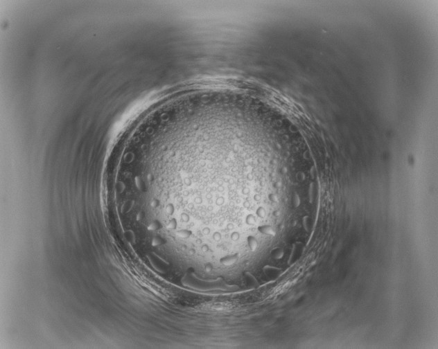 X0000060760294200511141238