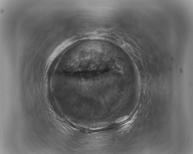 X0000060760295200511141238