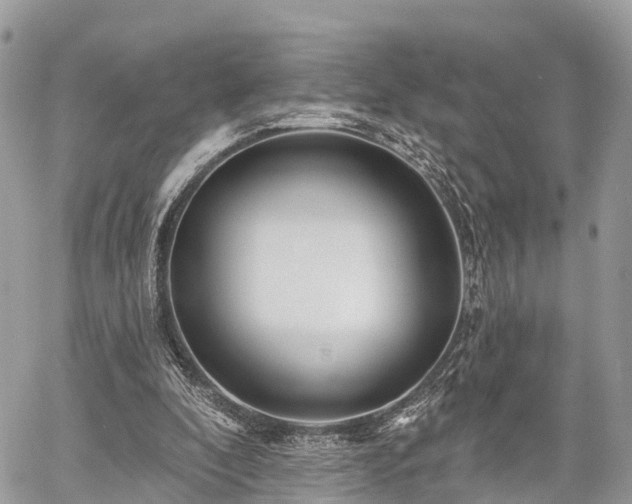 X0000060760296200511141238