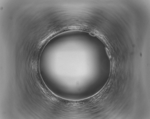 X0000060760297200511141238