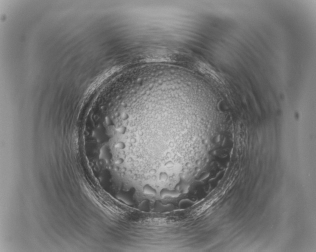 X0000060760298200511141238