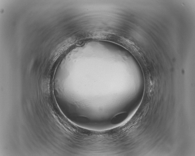 X0000060760299200511141238