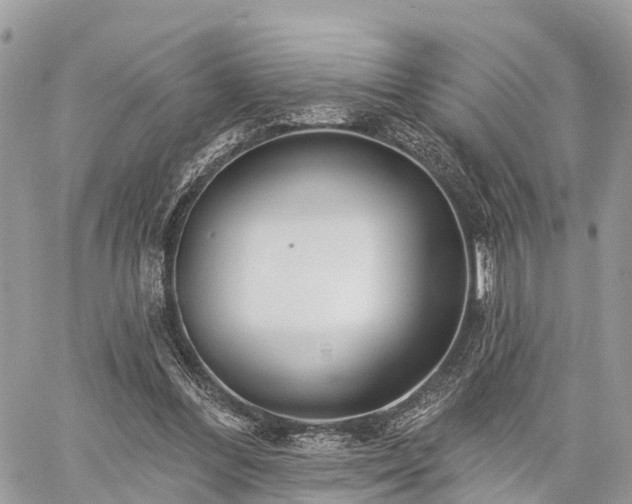 X0000060760300200511141238