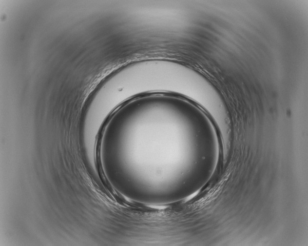 X0000060760301200511141238