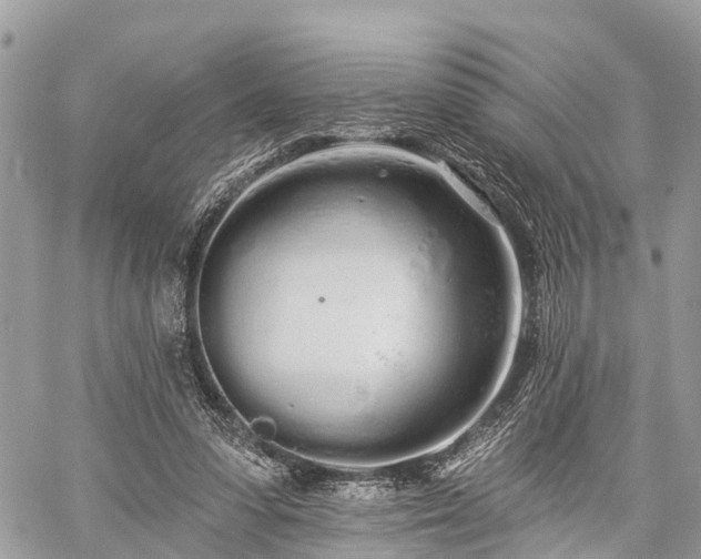 X0000060760303200511141238