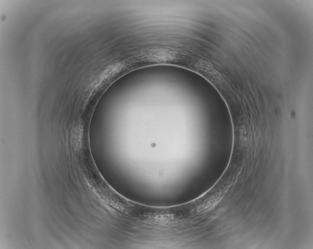 X0000060760304200511141238