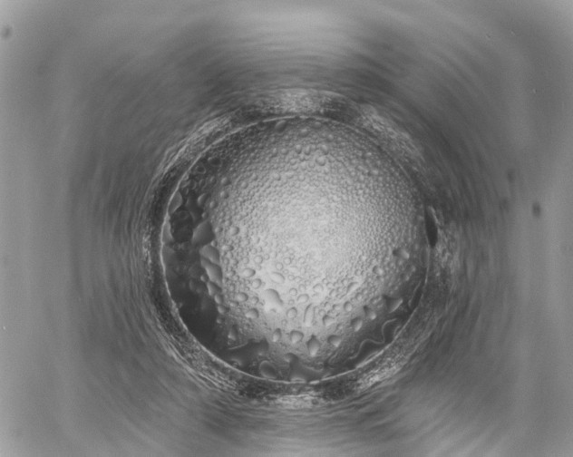 X0000060760306200511141238