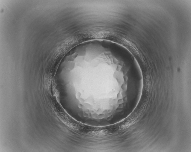 X0000060760307200511141238