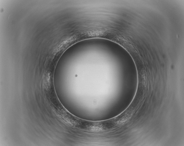 X0000060760308200511141238