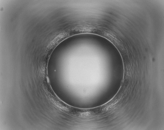 X0000060760309200511141238