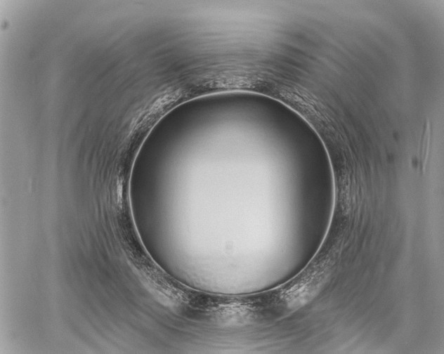 X0000060760310200511141238