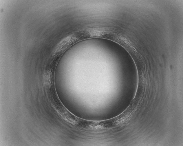 X0000060760311200511141238