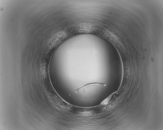 X0000060760312200511141238