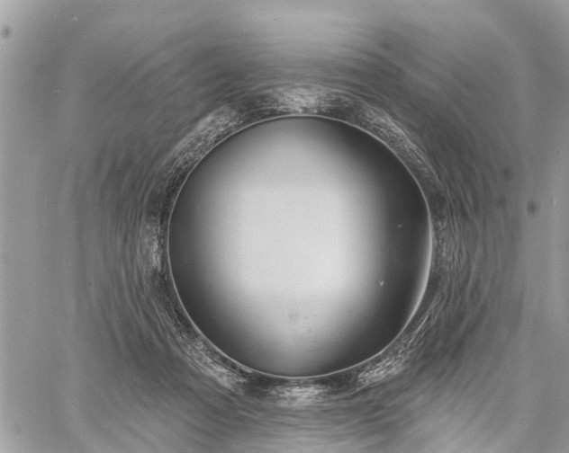 X0000060760313200511141238