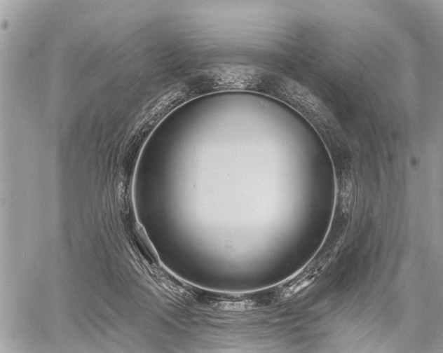 X0000060760314200511141238