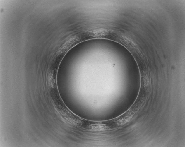 X0000060760316200511141238