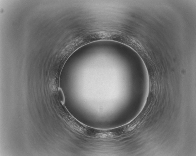 X0000060760317200511141238