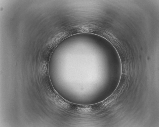 X0000060760318200511141238