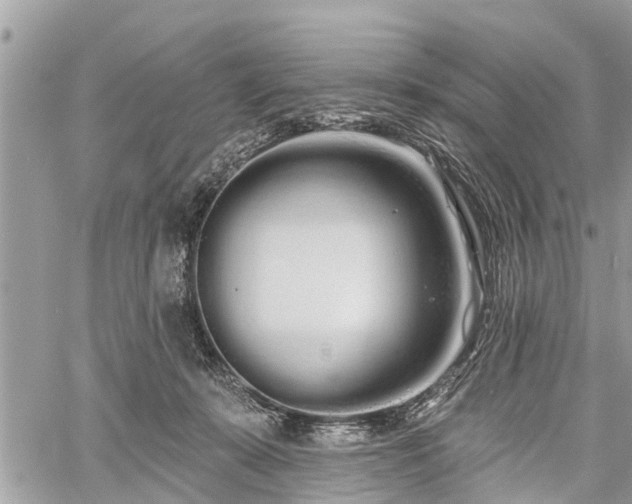 X0000060760319200511141238