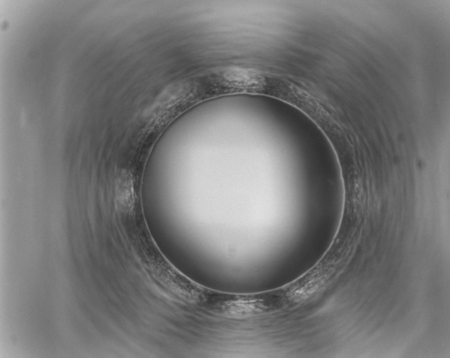 X0000060760320200511141238