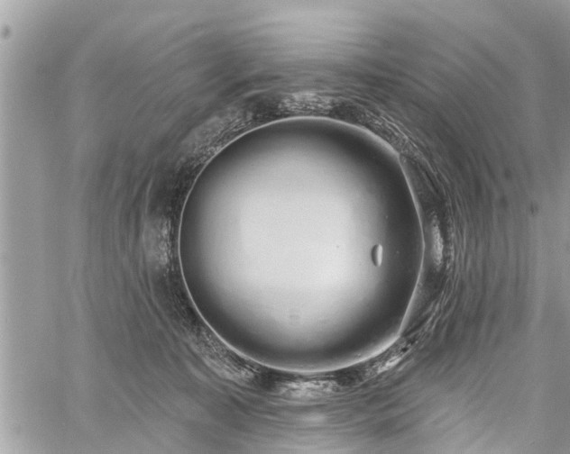 X0000060760323200511141238